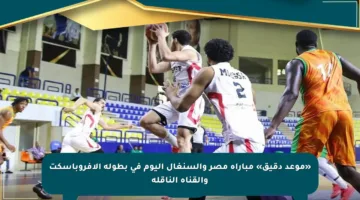 «موعد دقيق» مباراة مصر والسنغال اليوم في بطولة الأفروباسكت والقناة الناقلة